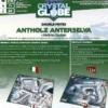 Antholz - Double Piste 3D (Ext. Biathlon Crystal Club)