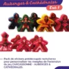 Carcassonne Auberges & Cathédrales : Pack de Stickers