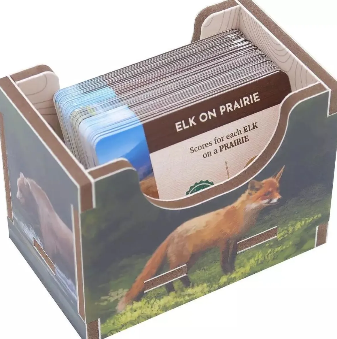 Cascadia : Rangements pour Boîte - Colour Insert