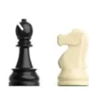 Échecs Starter Box DGT