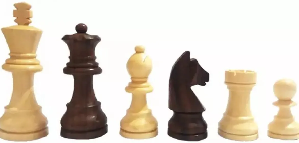 Coffret Échecs Magnétiques pliant 25cm