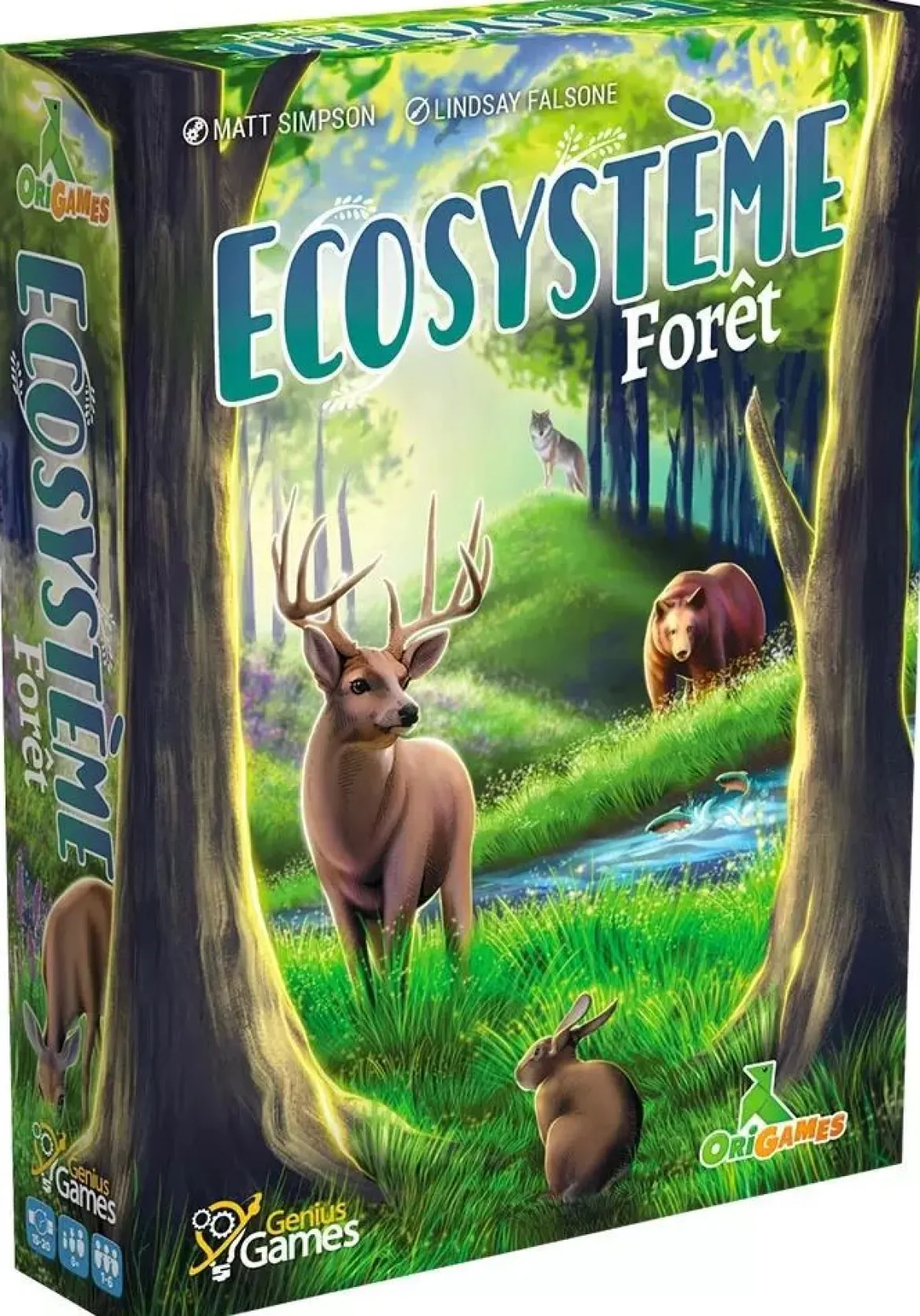 Ecosystème - Forêt