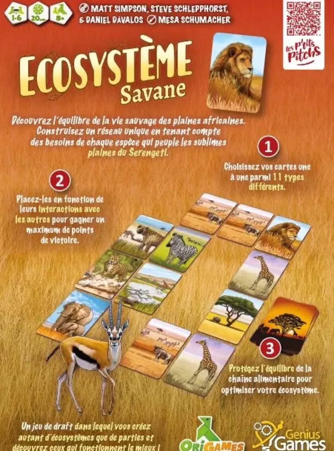 Ecosystème - Savane