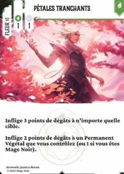 Fleurs (Ext. Mage Noir)
