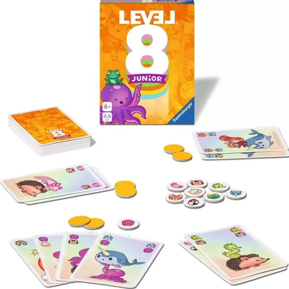 Level 8 Junior