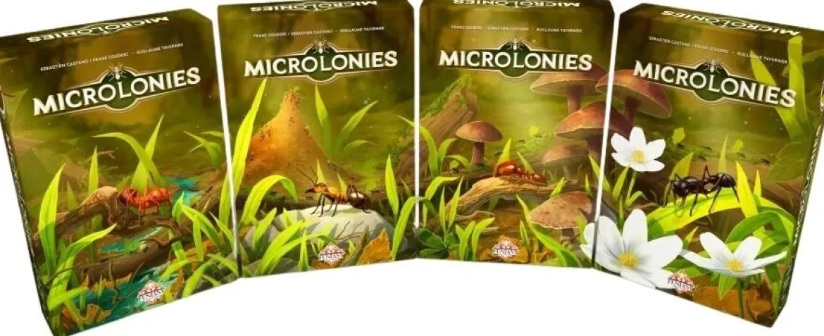 Microlonies
