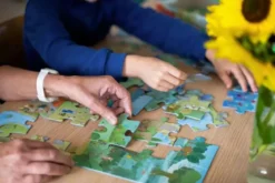 Mon Puzzle Aventure : Dragon