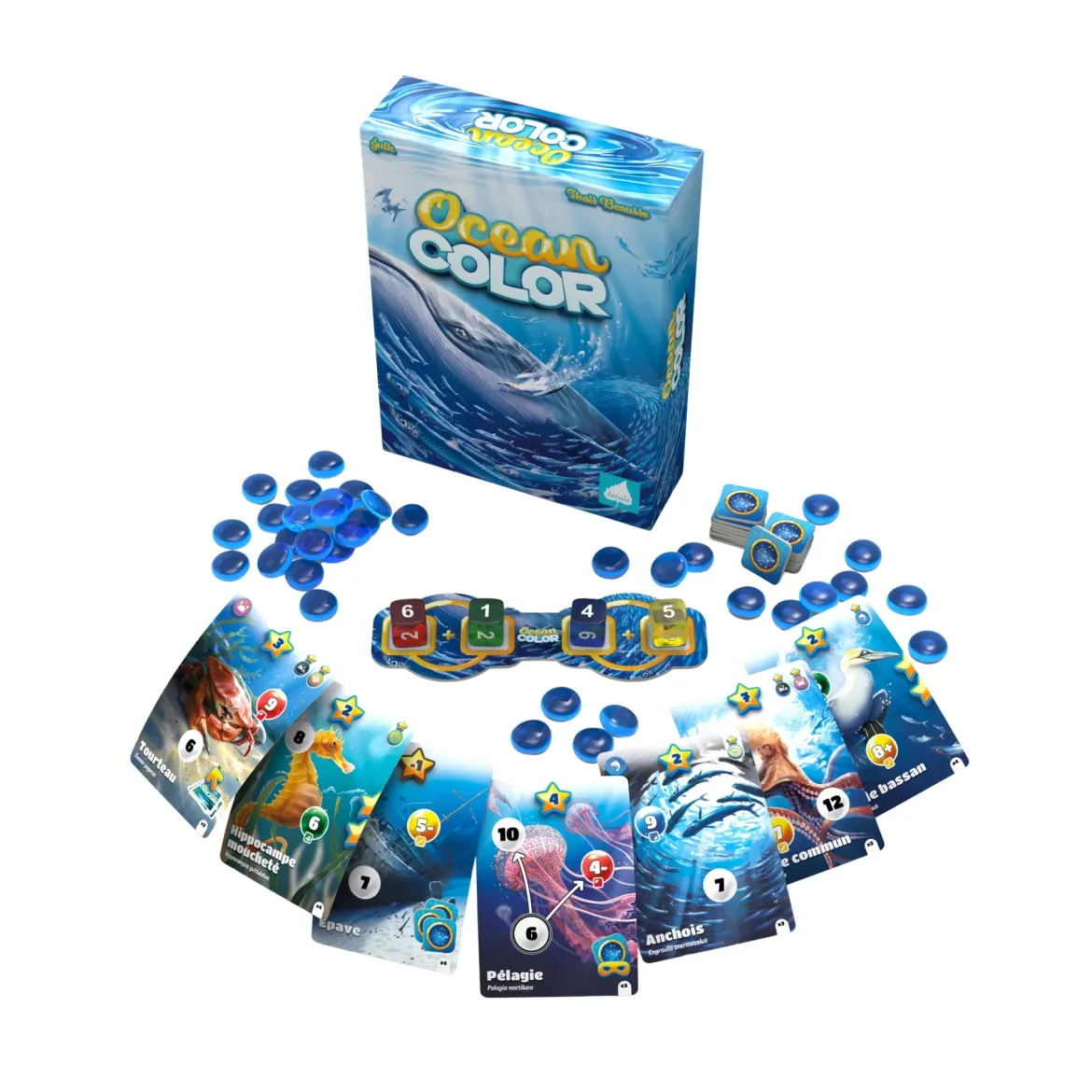 Ocean Color