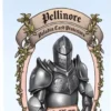 Pellinore 88x126mm - Lot de 55 Protège-Cartes - Paladin