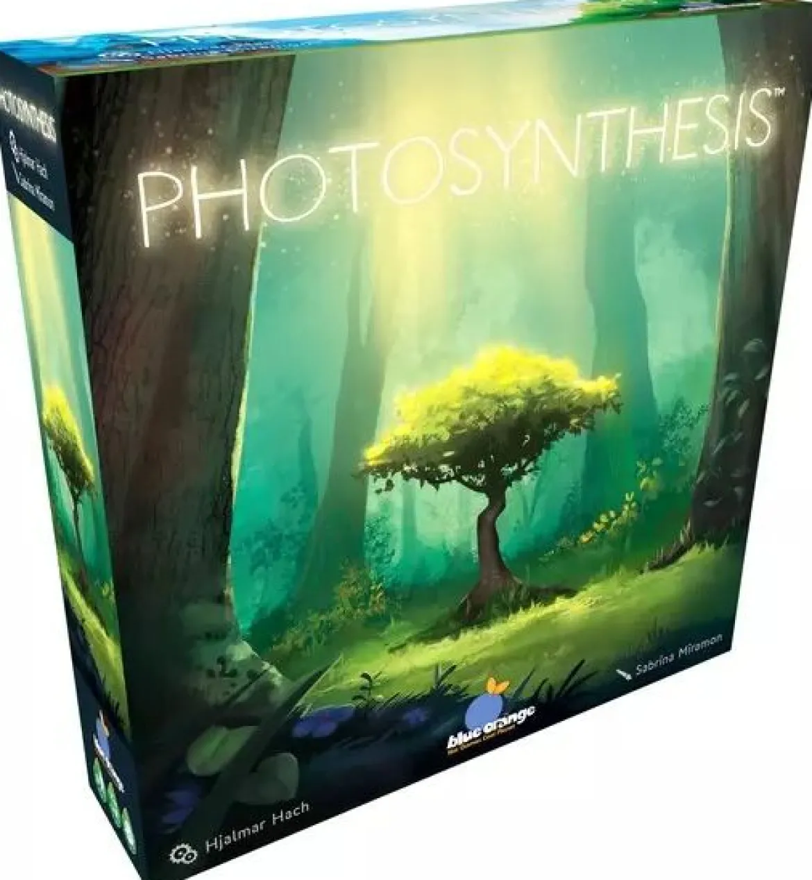 Photosynthesis
