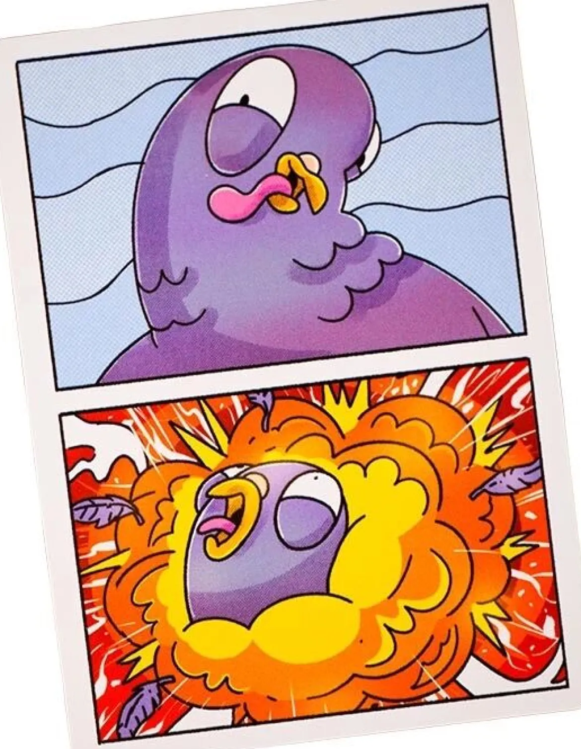 Pigeon Explosion