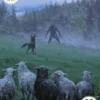 Puzzle Signature - Moutons (1000P)