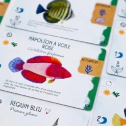 Requins & Récifs (Ext. Finspan)