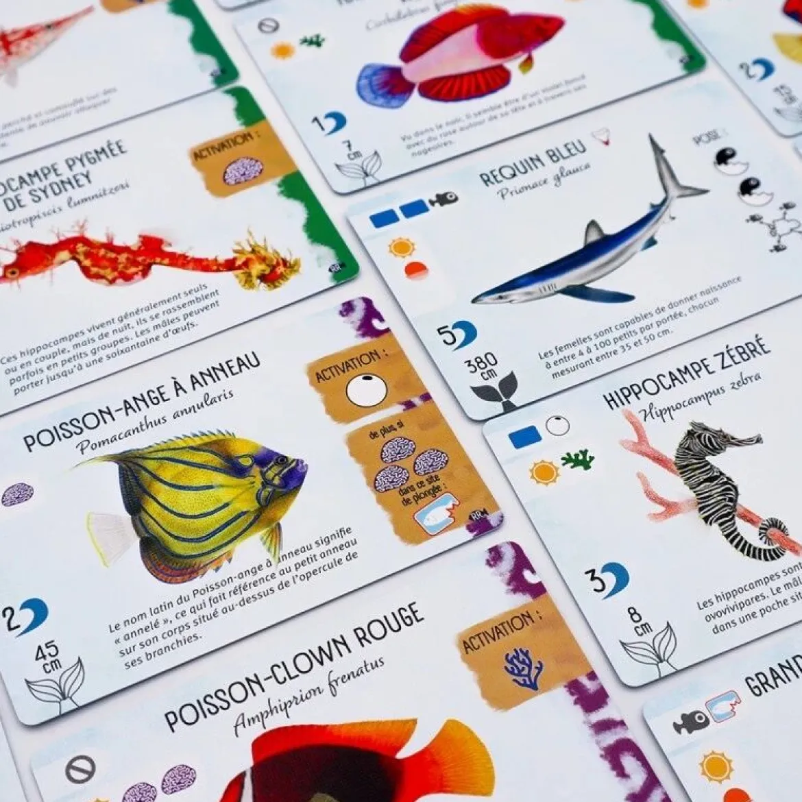 Requins & Récifs (Ext. Finspan)