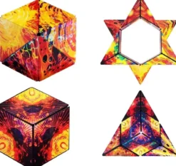 Shashibo Holographique