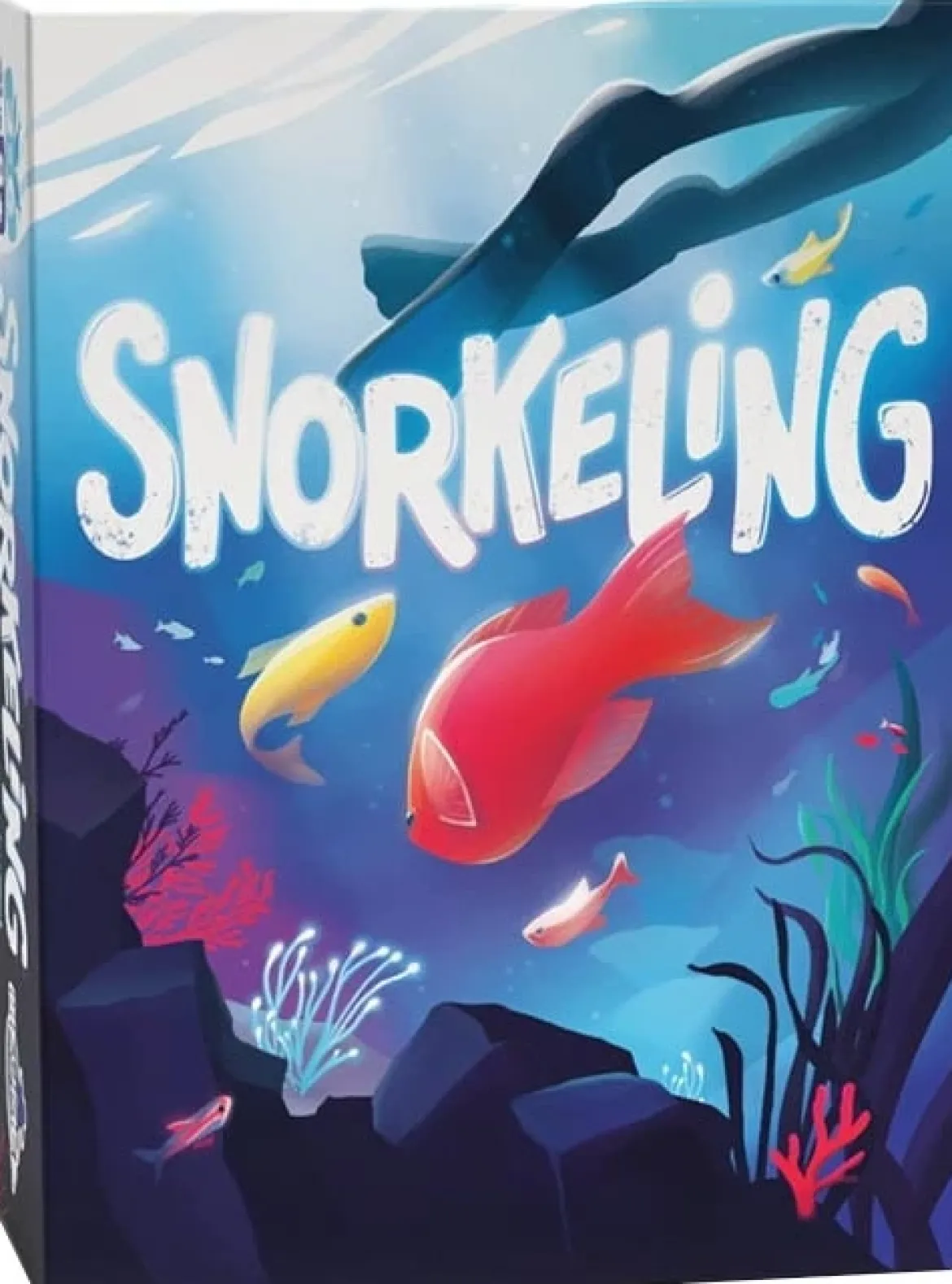 Snorkeling