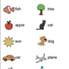 Tam Tam - English - Les Premiers Mots