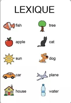 Tam Tam - English - Les Premiers Mots