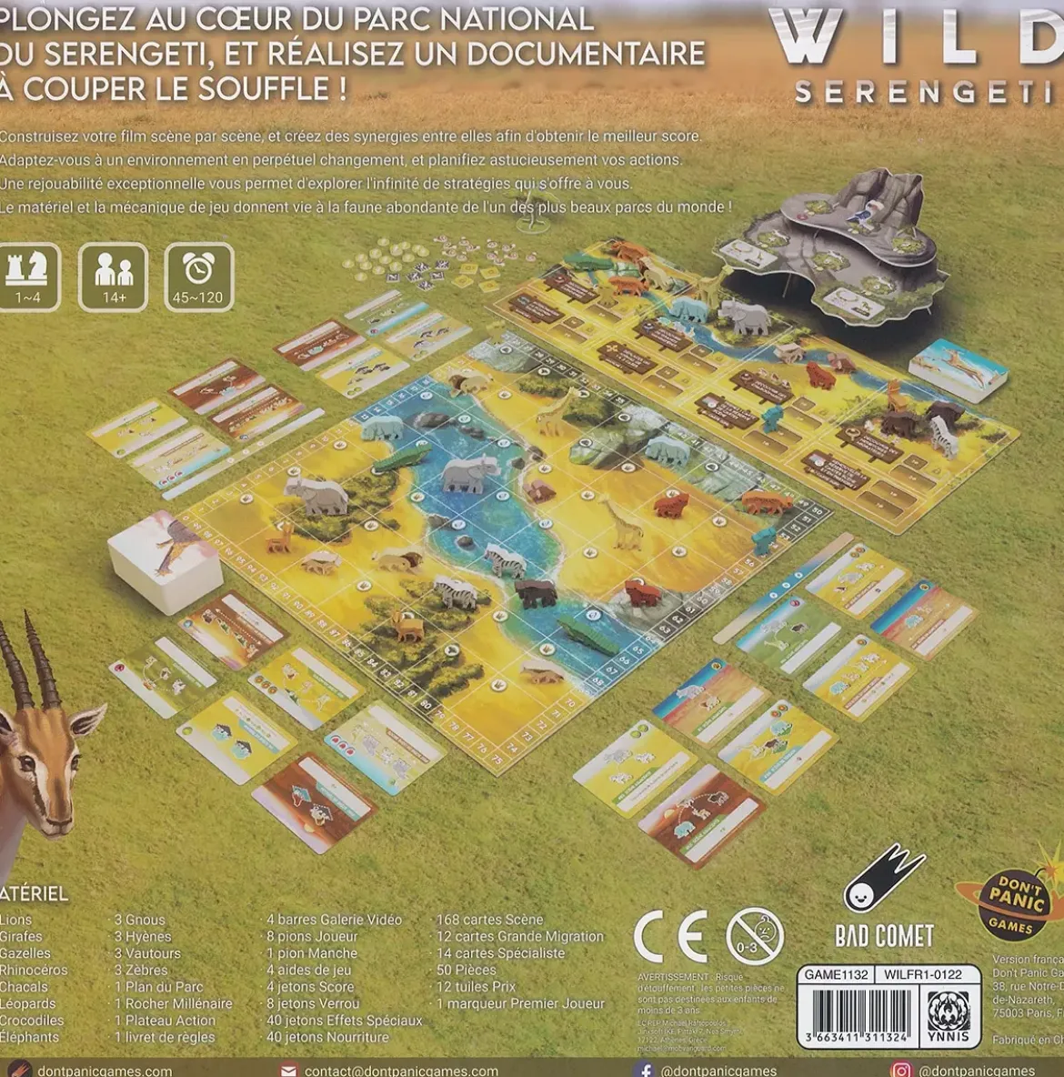 Wild - Serengeti